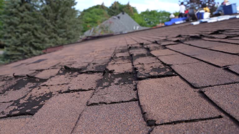 Best Wood Shake Roofing  in La Cresta, CA